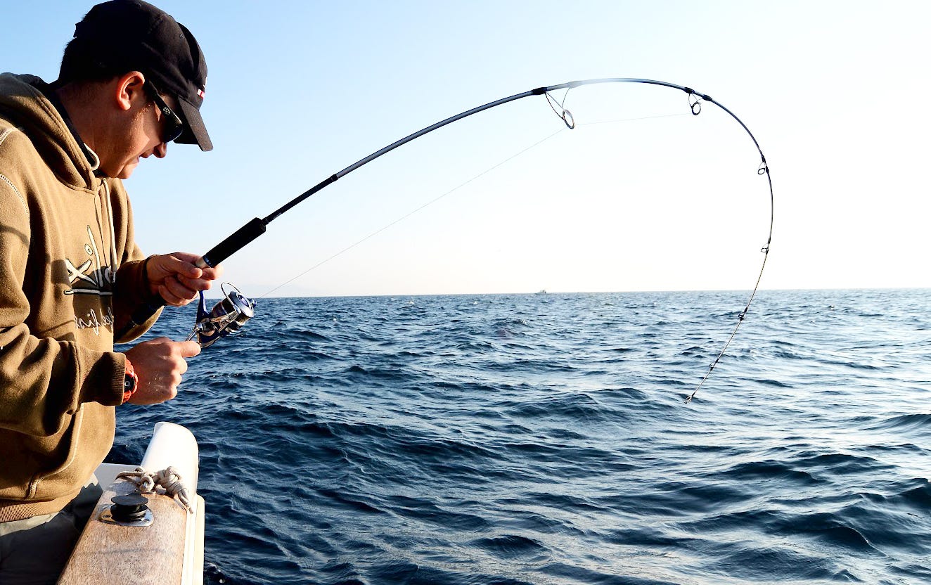 Sabes cuál es la caña de pescar que necesitas? | by Horticoop Andina |  Medium