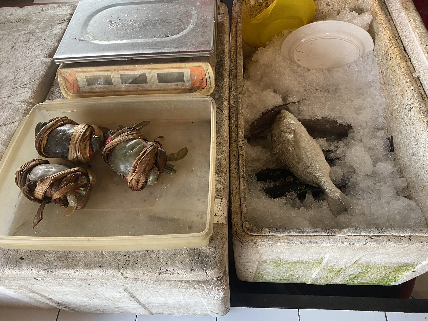 Gambar tempat penyimpanan komoditas (Sumber: Kelompok mangga, 2026)