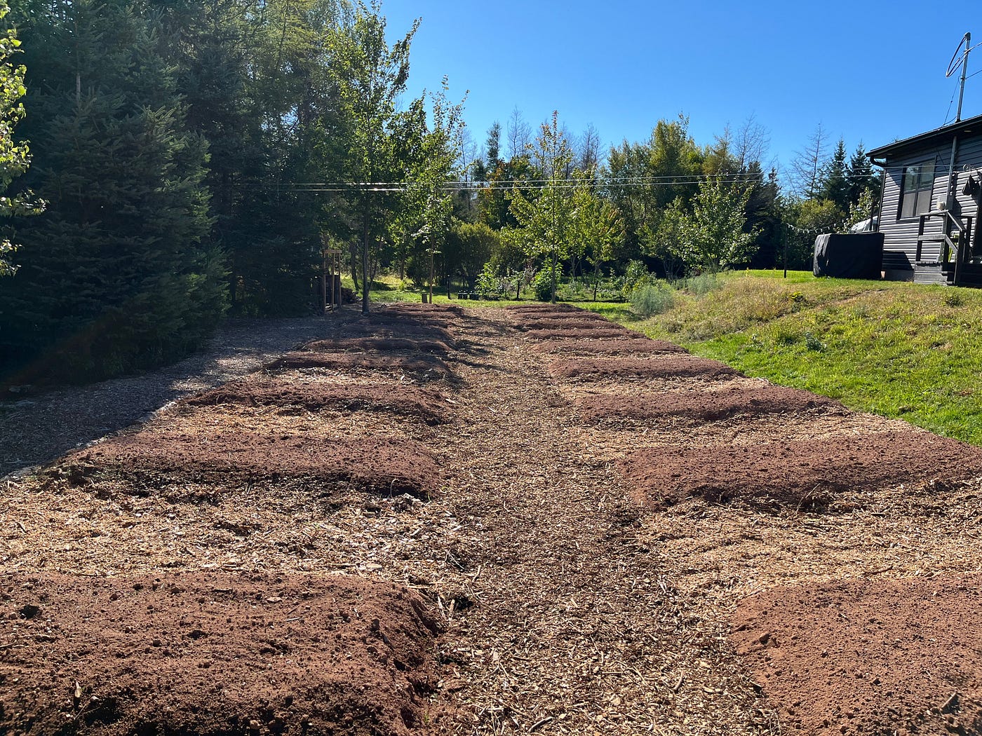 The Veggie Garden, Part 2 — Design It