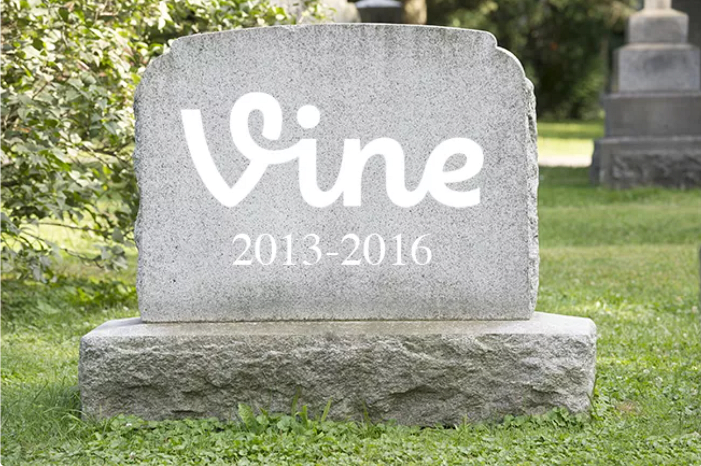 The Rise and Fall of Vine. In 2013, Vine was the app to be on… | by Alexys  Dew | Medium