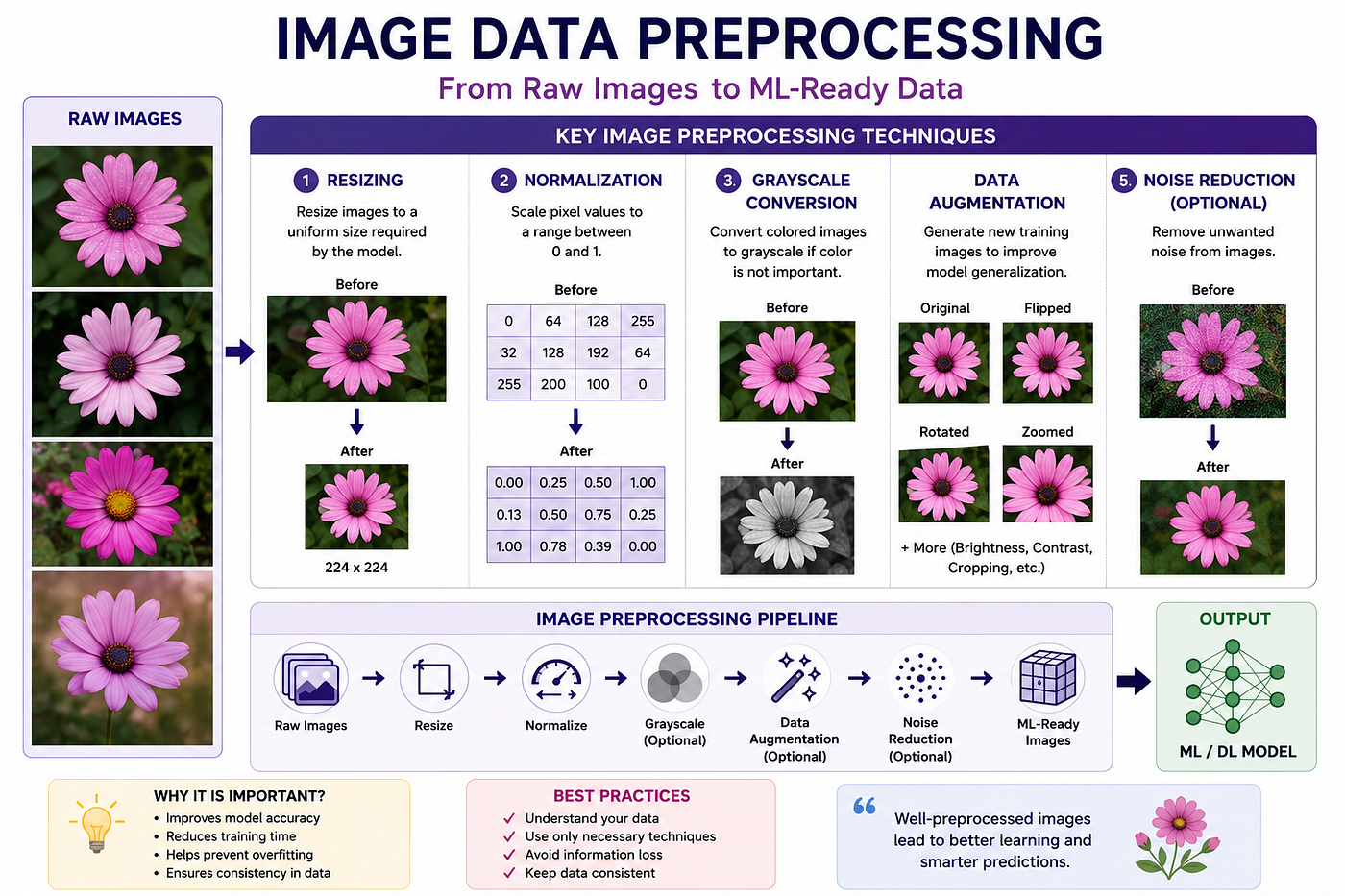 📸 Image Data Preprocessing: Preparing Images for Machine Learning Models
