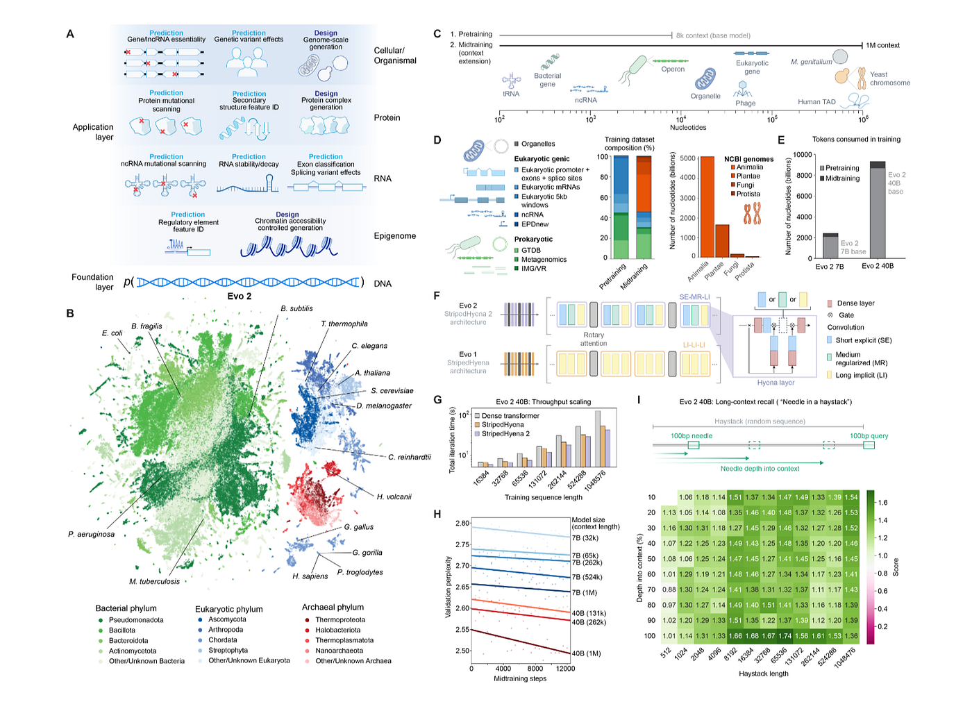 Evo2 Demystified ~ The Ultimate Technical Guide to Genomic