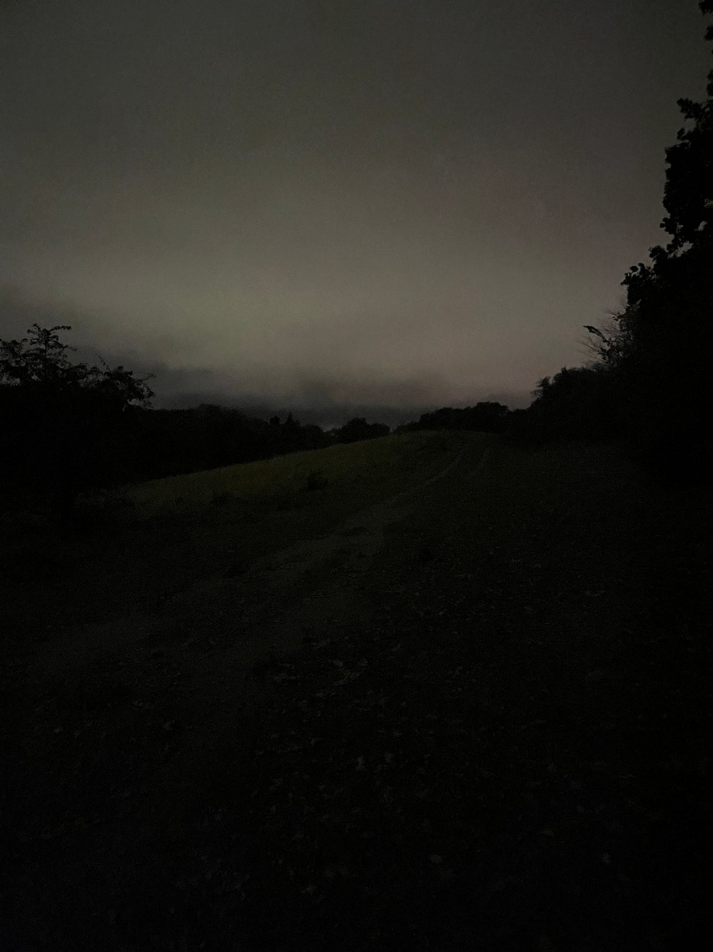 キャンバスドローイング『The forest at night』 The Forest At Night. Walks I would have missed | by T. H.