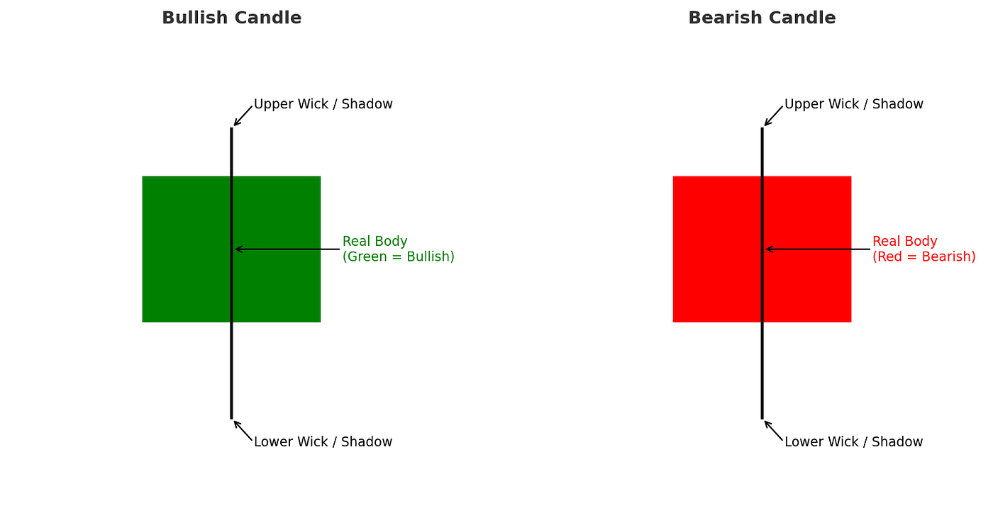 S02 — The Meaning of Color: Bullish vs. Bearish Candles — Oct 2025 | by  offline-pixel | Medium