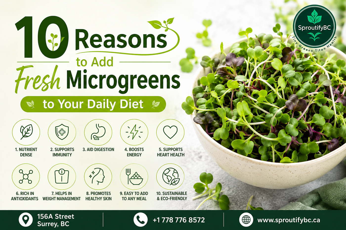 10 Reasons to Add Fresh Microgreens to Your Daily Diet