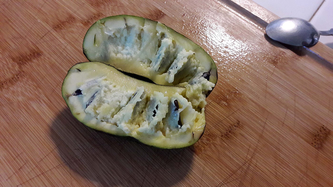 美國吃不到釋迦？別灰心，還有泡泡果Pawpaw fruit！. Pawpaw（Asimina… | by 俄勒岡小婦人| Medium