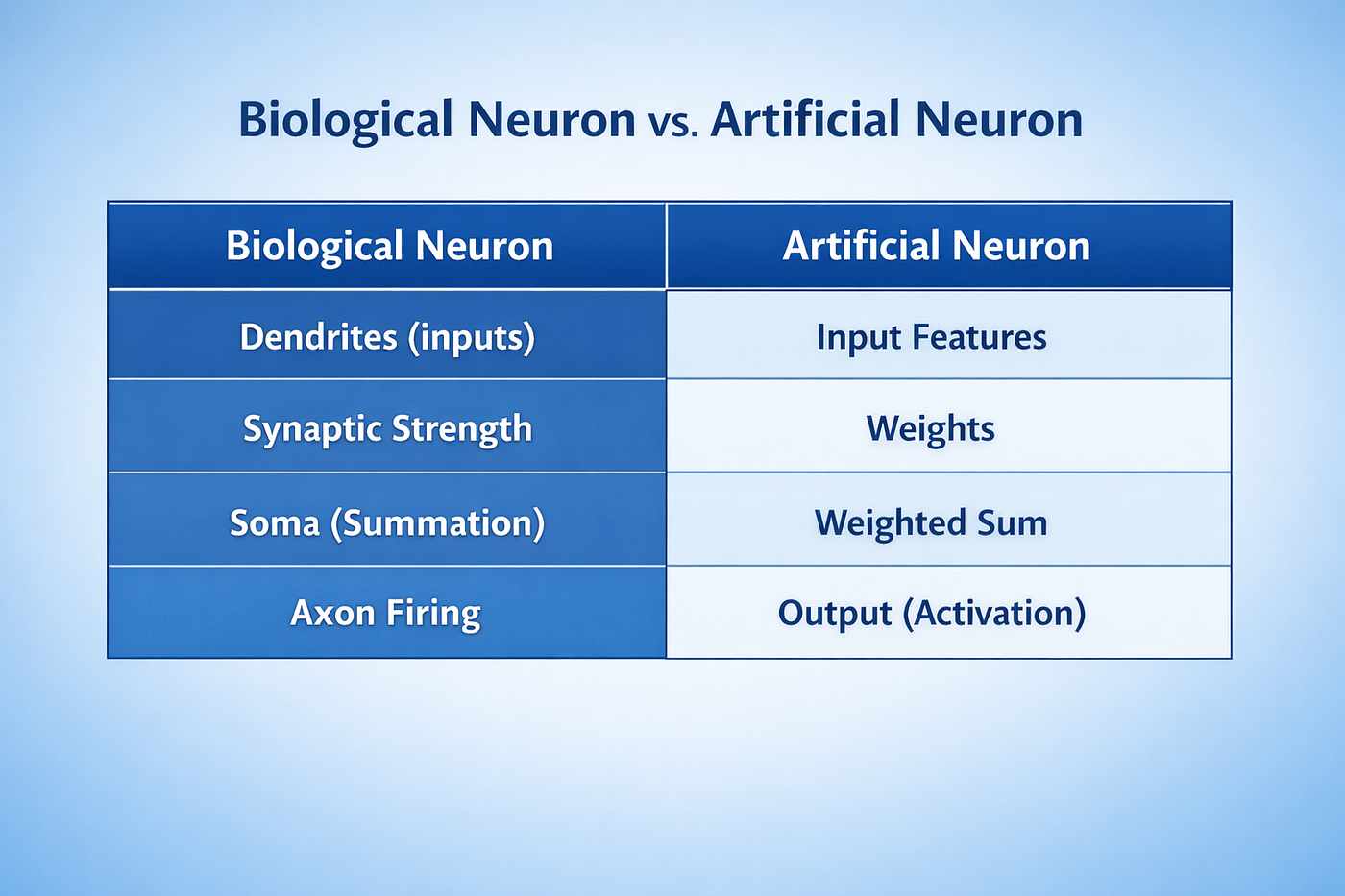 Neuron Analogy Comparison Table