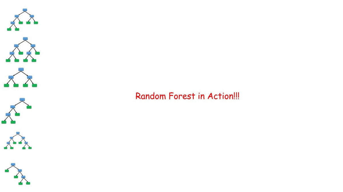 Random Forest Animation