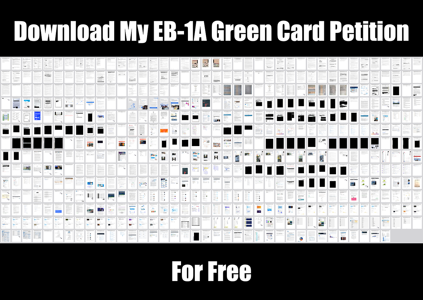 My EB-1A Extraordinary Ability Green Card Petition which Was