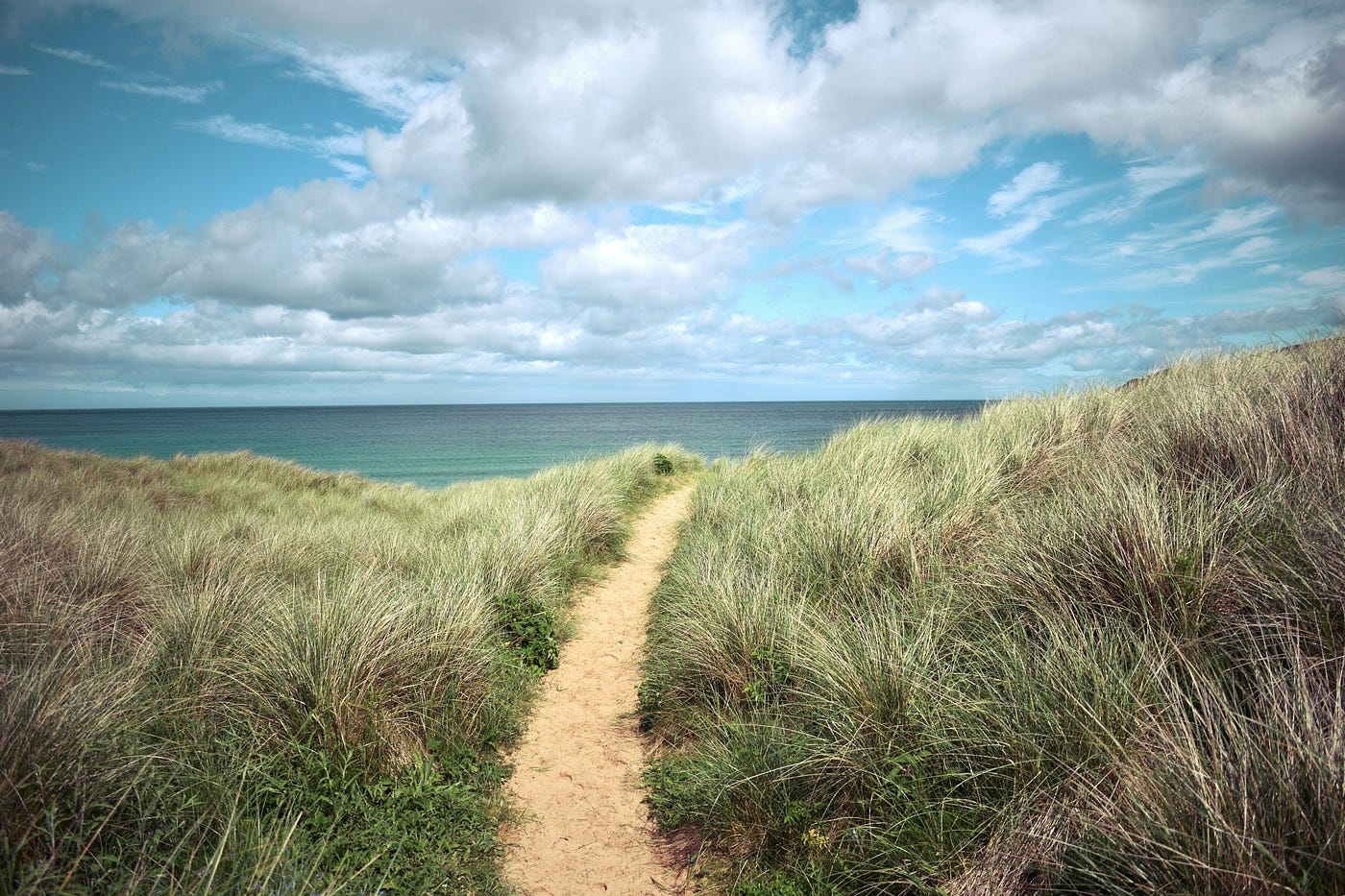 Photo by Simon Wiedensohler on Unsplash