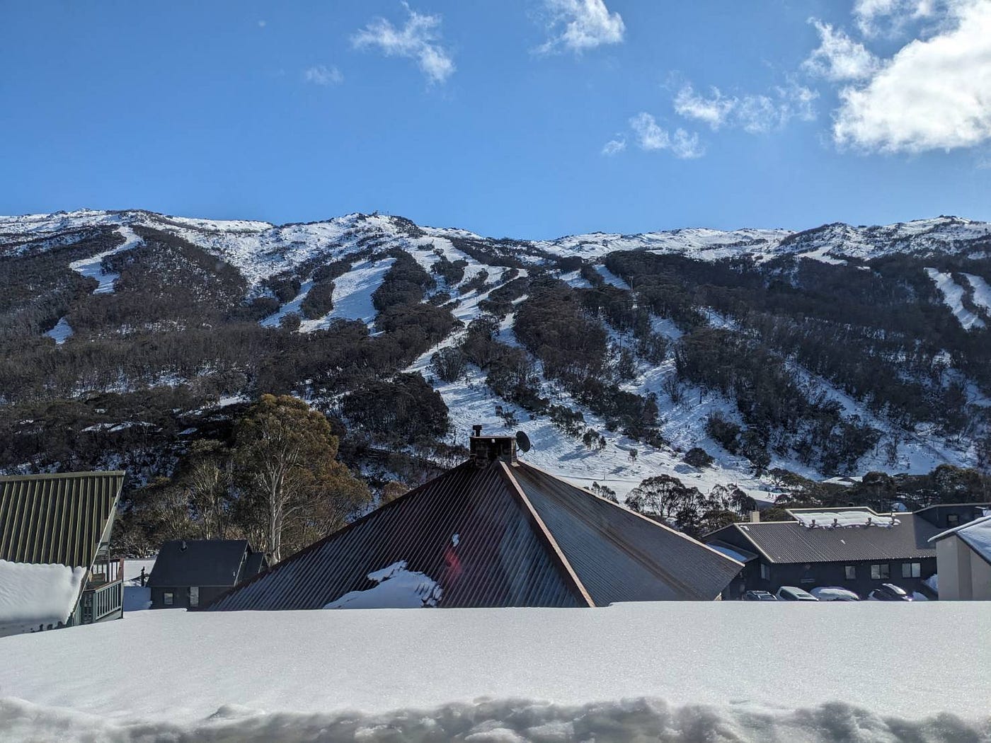 From a Subtropical Island to the Snowy Slopes of Australia