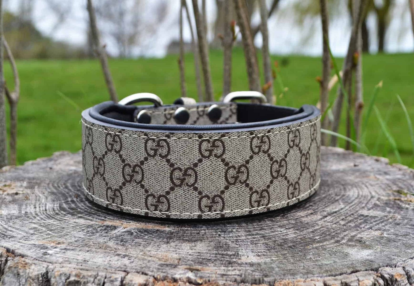 Gucci Dog Collars: A Pinnacle of Canine Elegance and Comfort” | by Rory  Jenkins | Medium