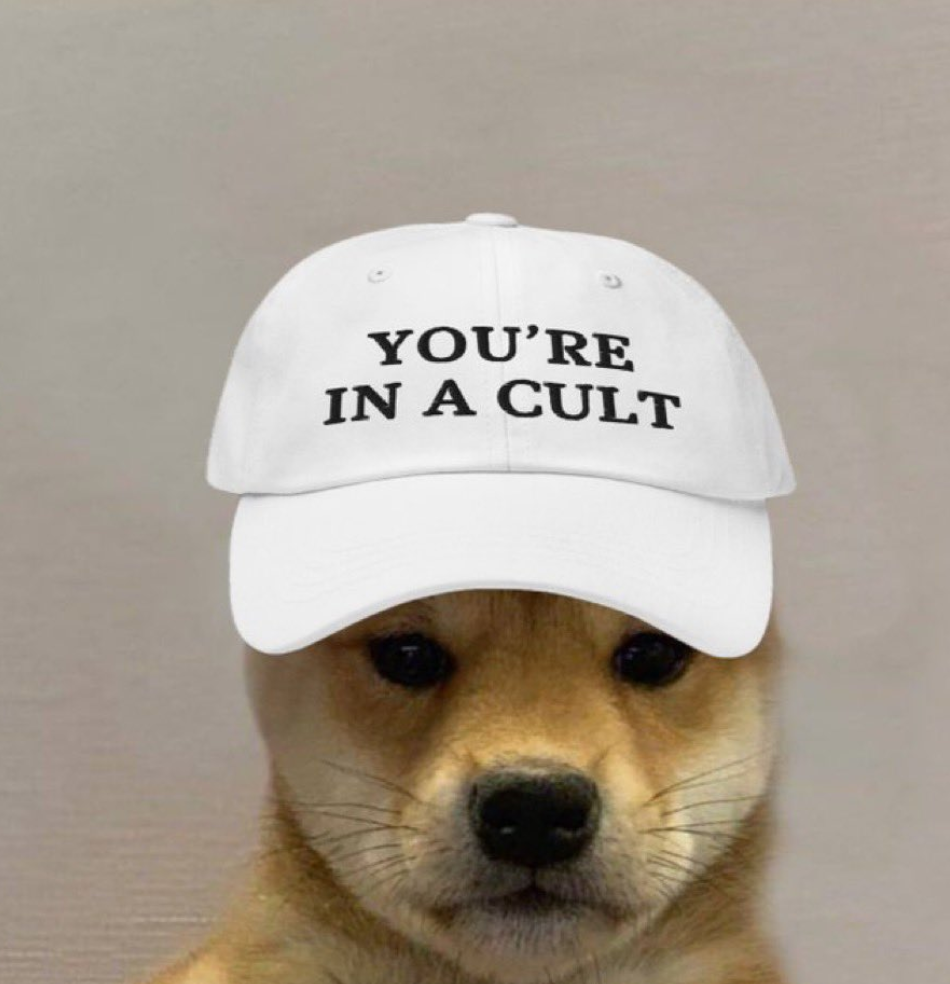 Dogwifhat Coin: The Rise of the Latest Dog-Themed Meme Cryptocurrency  ($WIF) | by Crypto Ape Club | Dec, 2023 | Medium