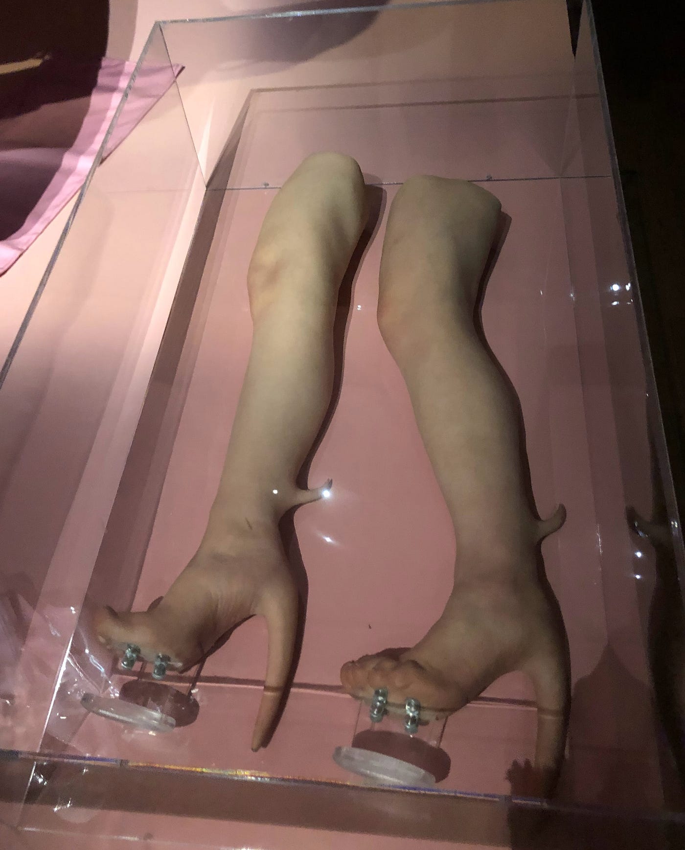 Photos taken at the Museum des Beaux Art Exhibit in 2018 of Fecal Matter’s work