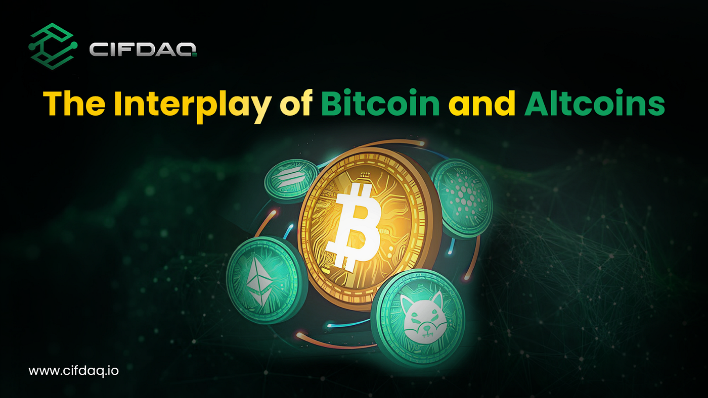 The Interplay of Bitcoin and Altcoins: Decoding Market Recovery Dynamics |  Medium