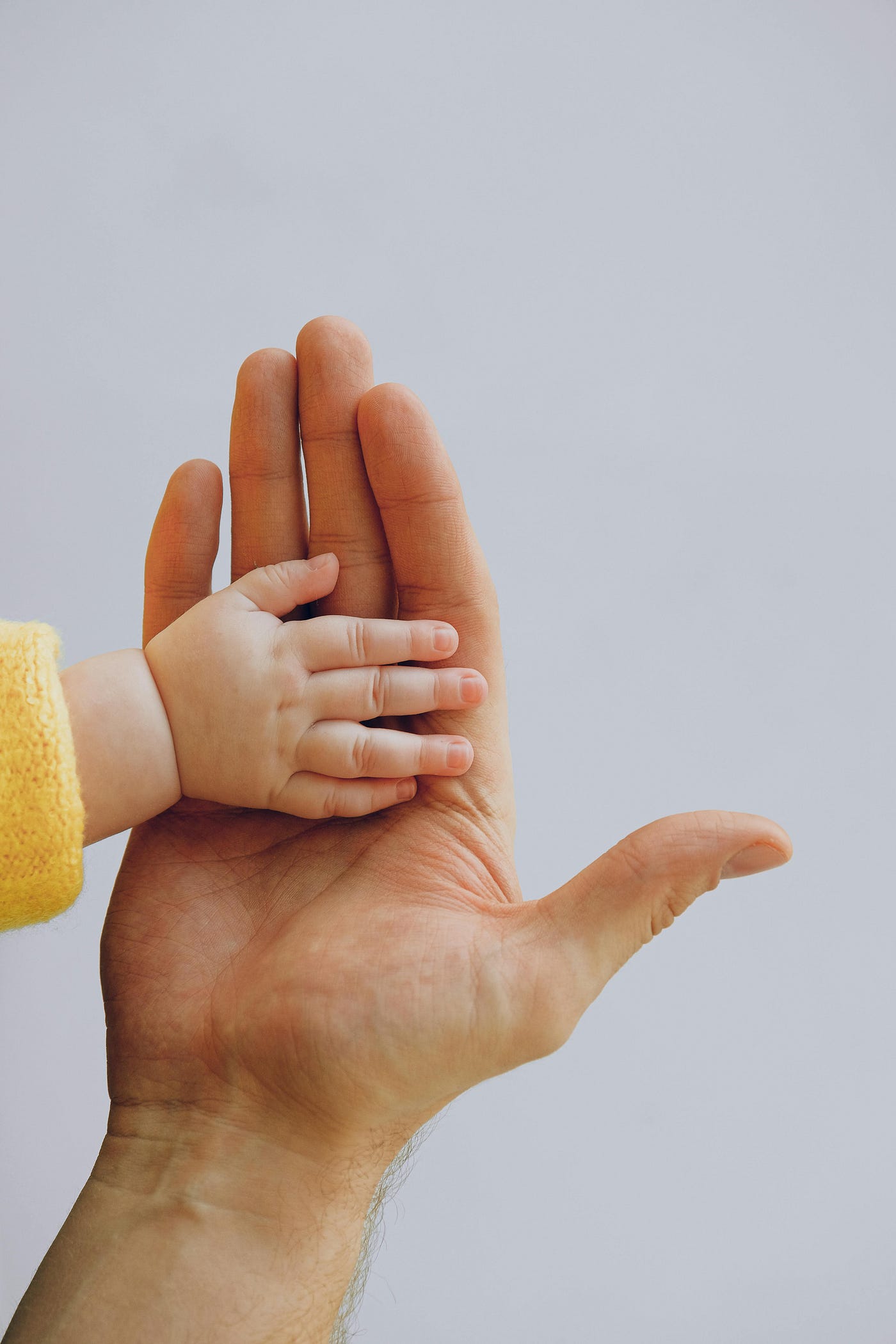 Language Ladder: Milestones for Language Development