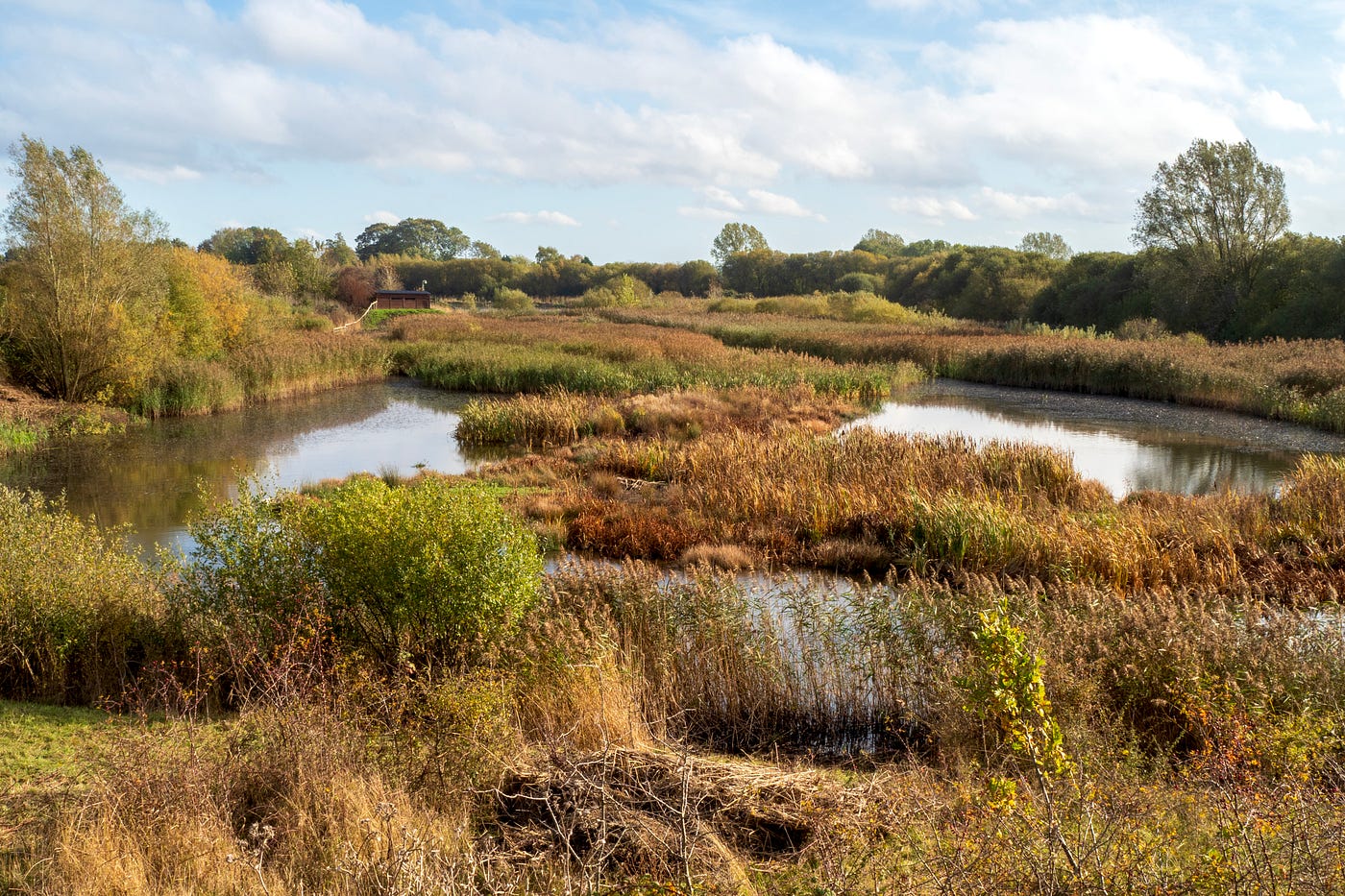 Tophill Low Nature Reserve and Water Treatment Site, East Yorkshire (Photo by Author)