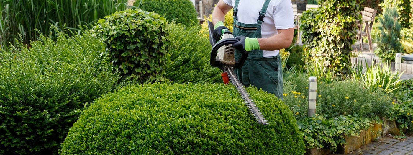 Choosing the Right Landscape Maintenance Services for Long-Term Lawn Health