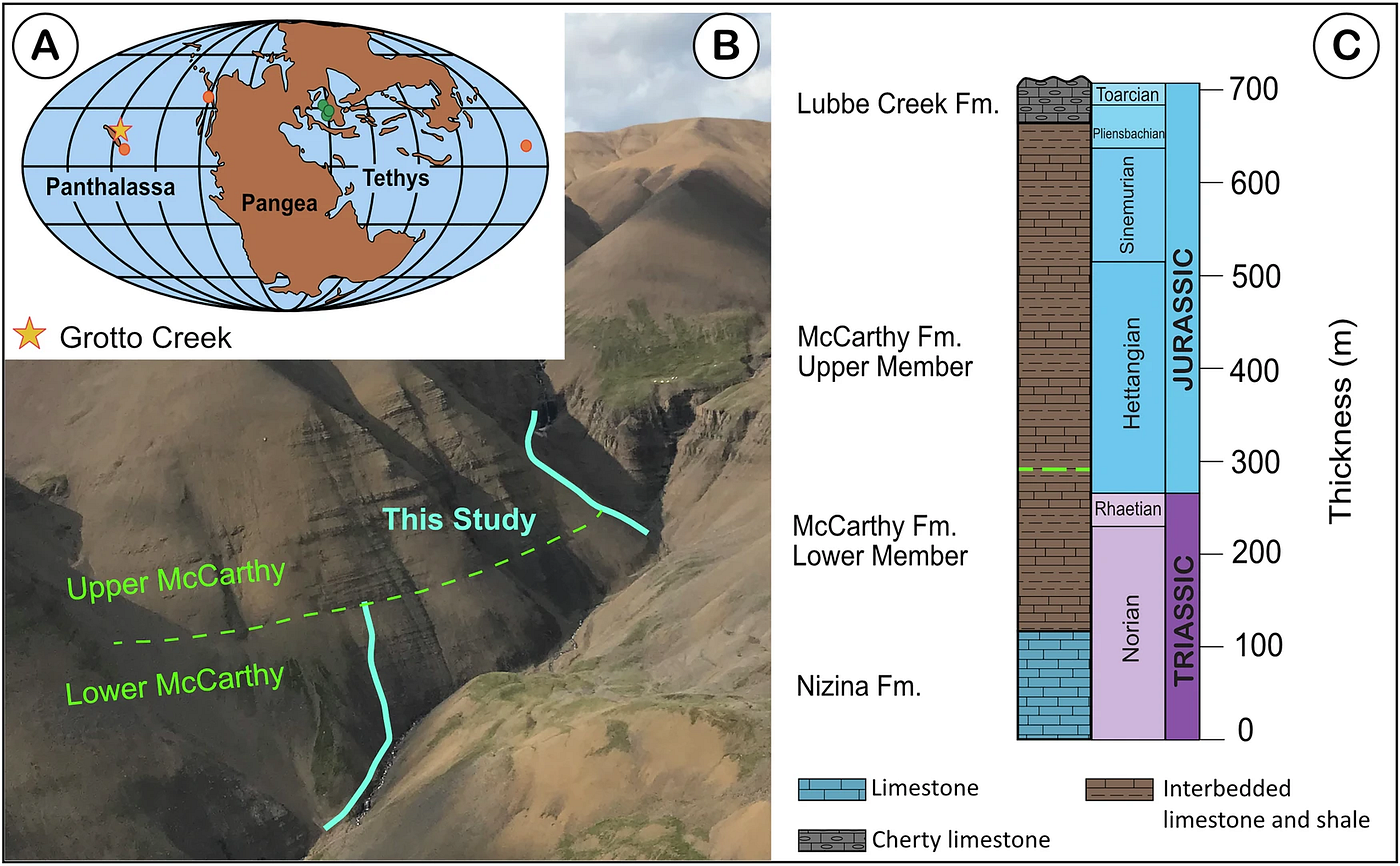 Paleogeography of the Late Triassic and stratigraphic setting of the Grotto Creek Section. A Late Triassic global paleogeographic reconstruction displaying the depositional location of the McCarthy Formation27 (gold star) on the Wrangellia terranes and other known nitrogen isotope records during the ETME (green and orange circles). B Aerial photo taken of the Grotto Creek Section with the boundary between the upper and lower McCarthy Formations denoted with the dashed line and the studied sections denoted with the solid blue line. The white dots on the green meadow above the cliff on the middle right of the photo are tents that are 1 meter tall for scale. C General stratigraphy of the Grotto Creek Section showing the relevant study interval in blue — McCabe et al., 2026