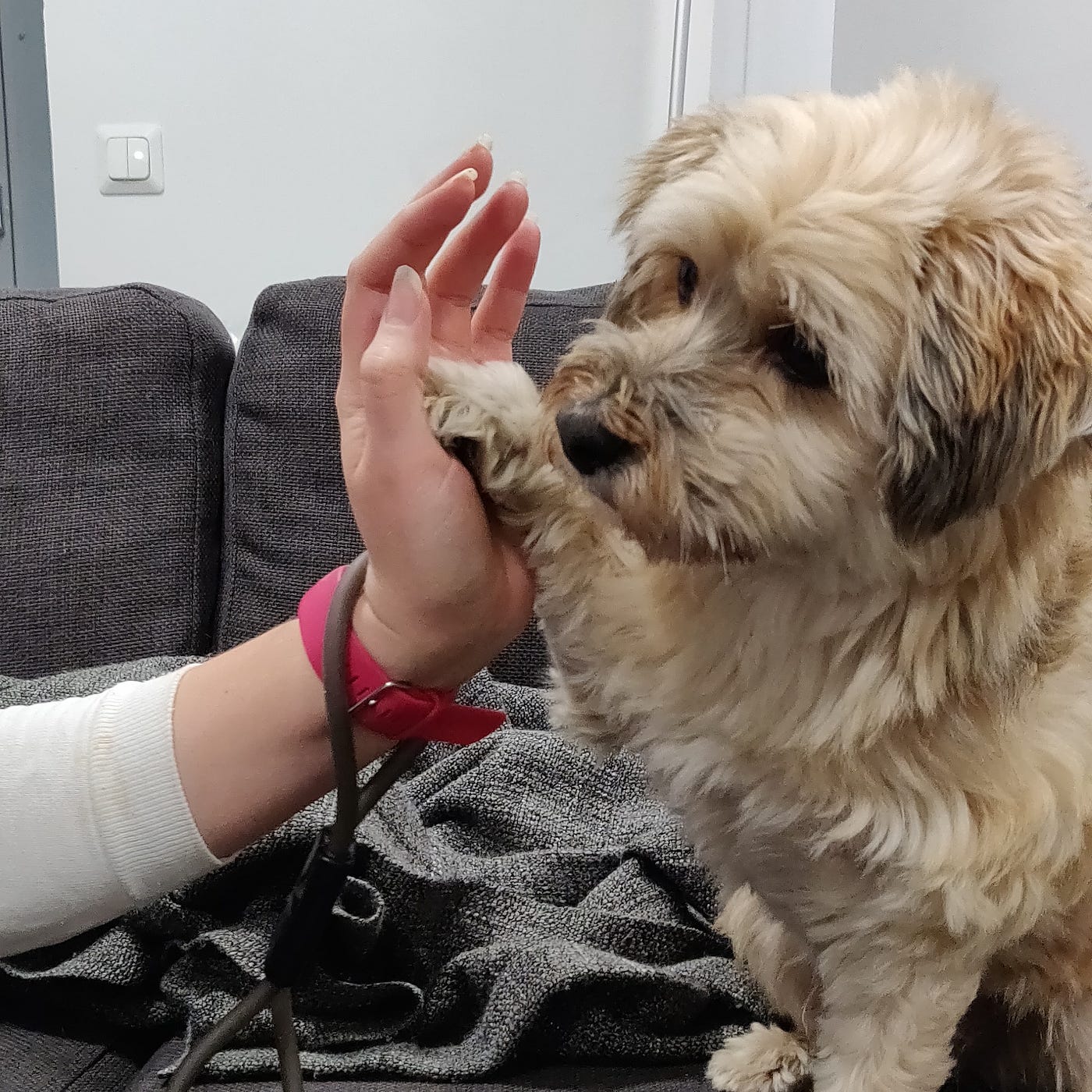 High Five! Image by the author.