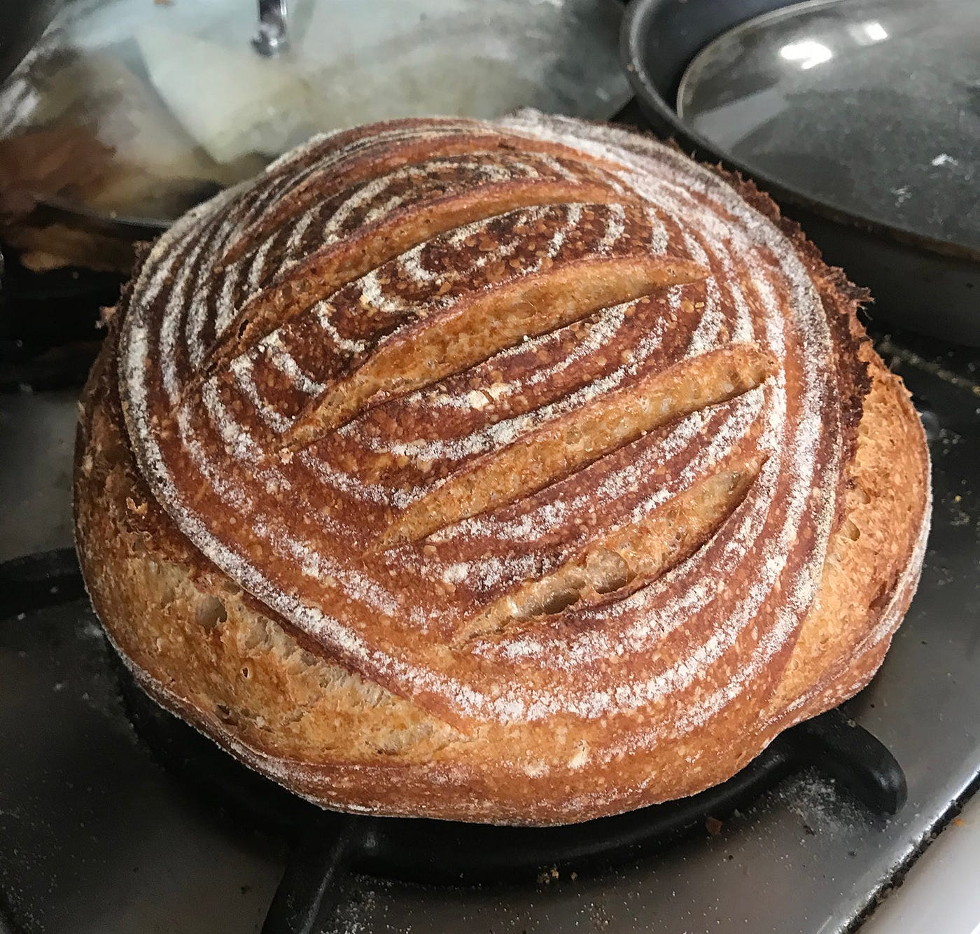 Santa Cruz Mountains Sourdough