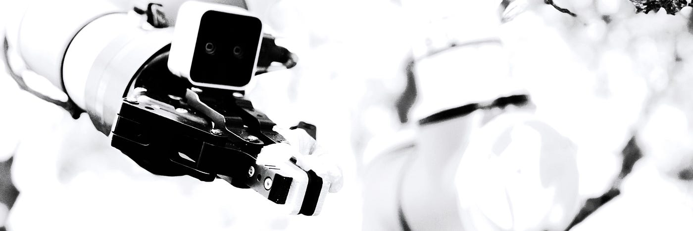 Before VLAs Had a Name: My 2020 Forecast on General-Purpose Robotics