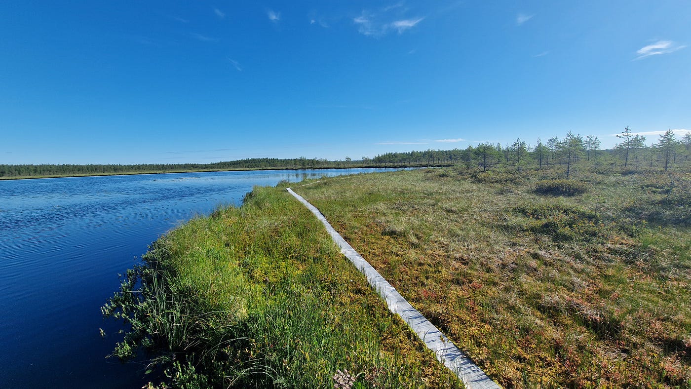 Lapland Chronicles, Day 2