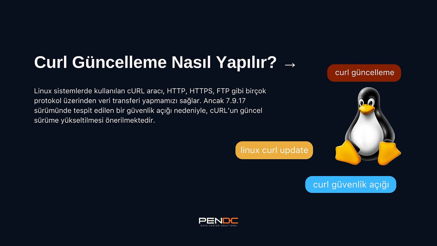 Curl Güncelleme Nasıl Yapılır?