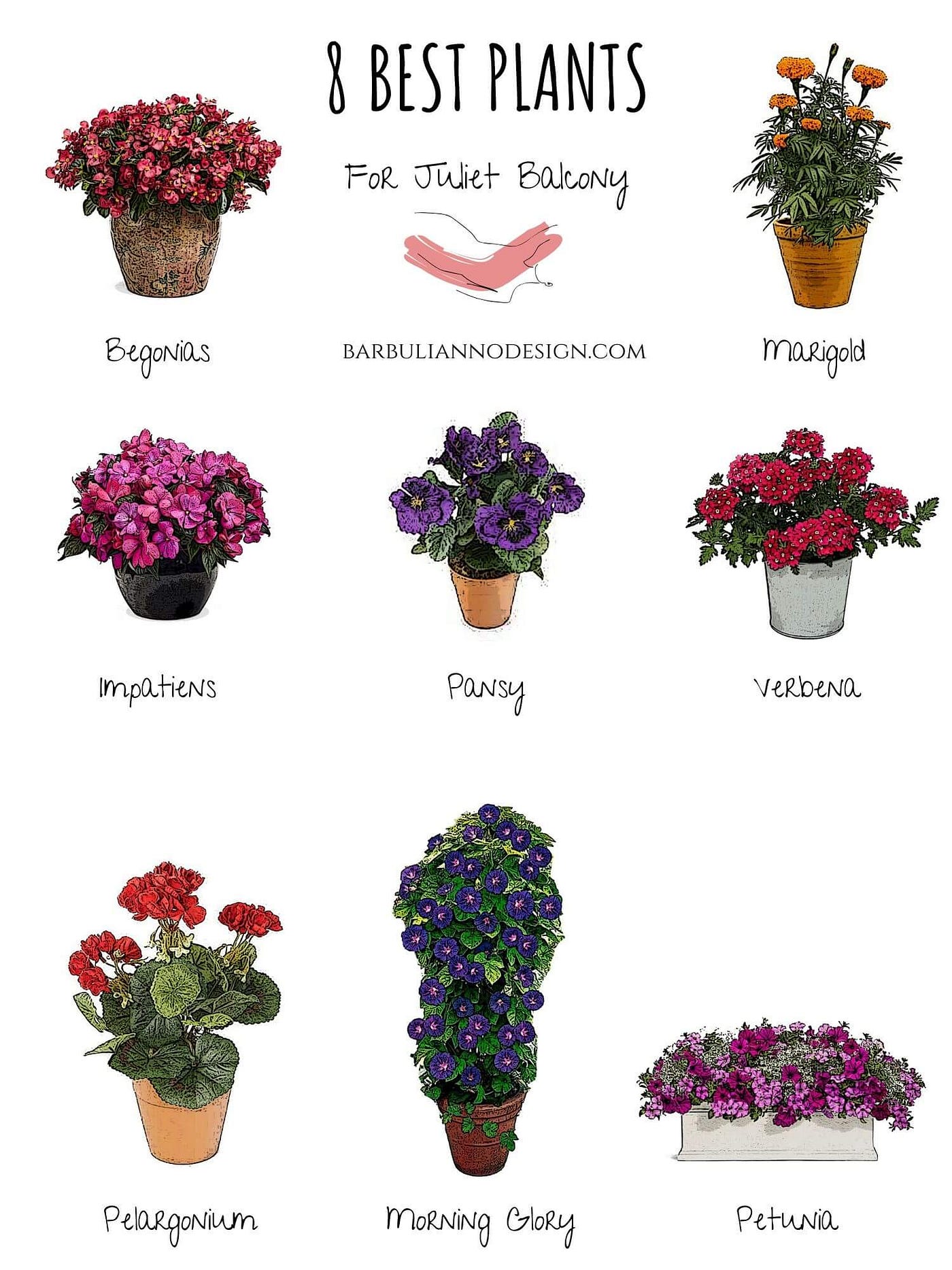 How to Choose Perfect Plants for Your Juliet Balcony | by Barbulianno  Design | Medium