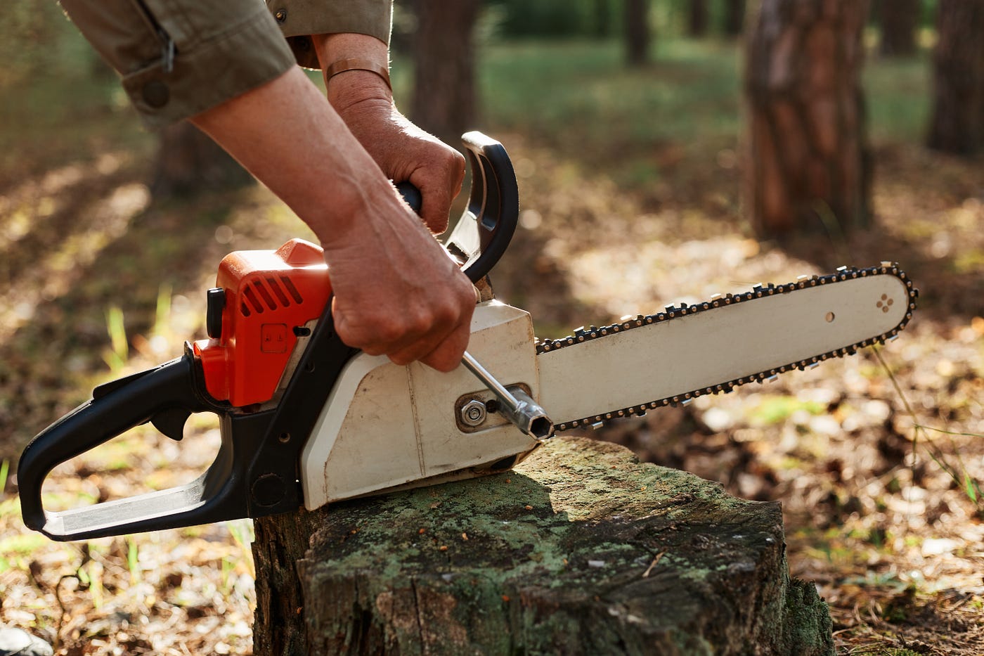 24hr Emergency Tree Services: What to Do When a Tree Becomes a Hazard