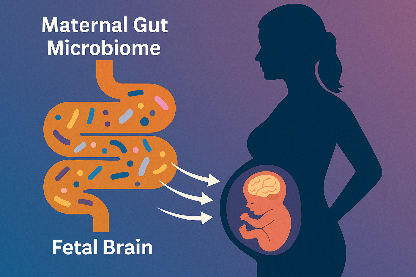 How a Mother’s Gut Microbiome Shapes Her Baby’s Brain.