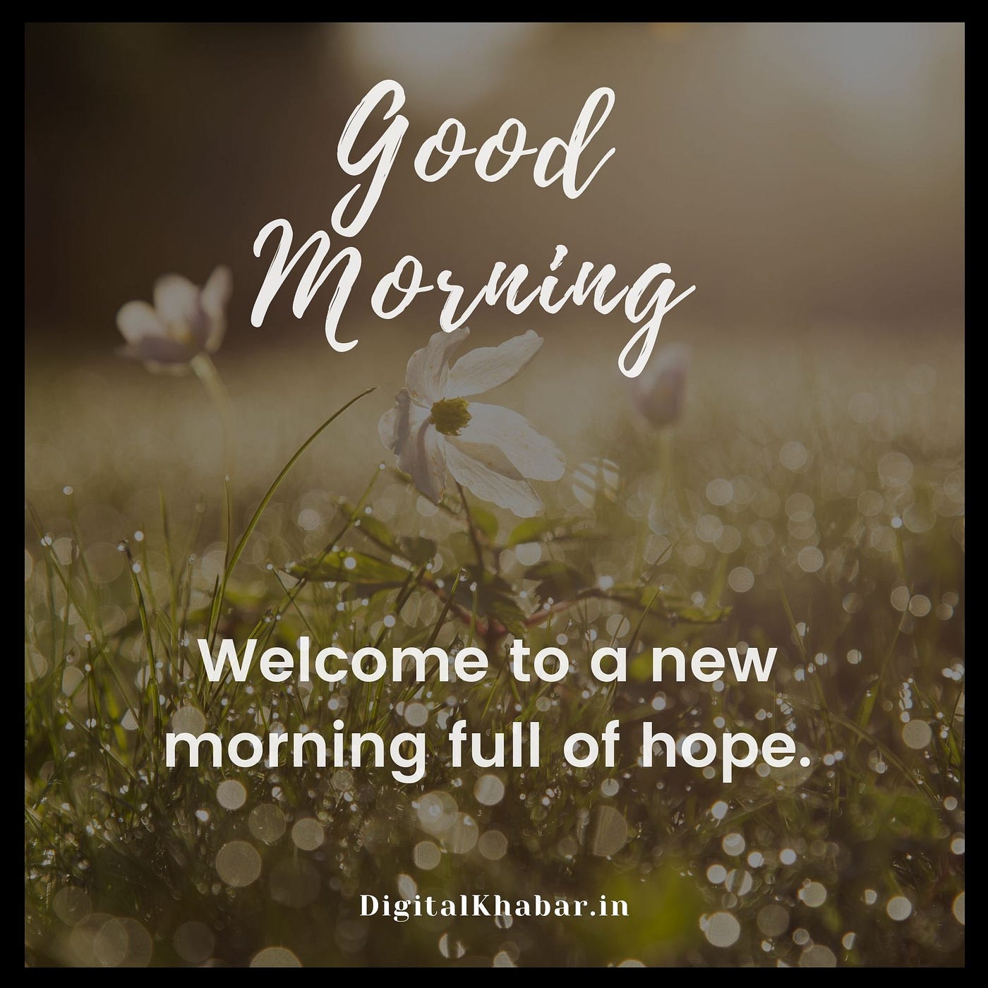 Latest Good Morning Images for your Whatsapp Friends - Digital Khabar - Medium