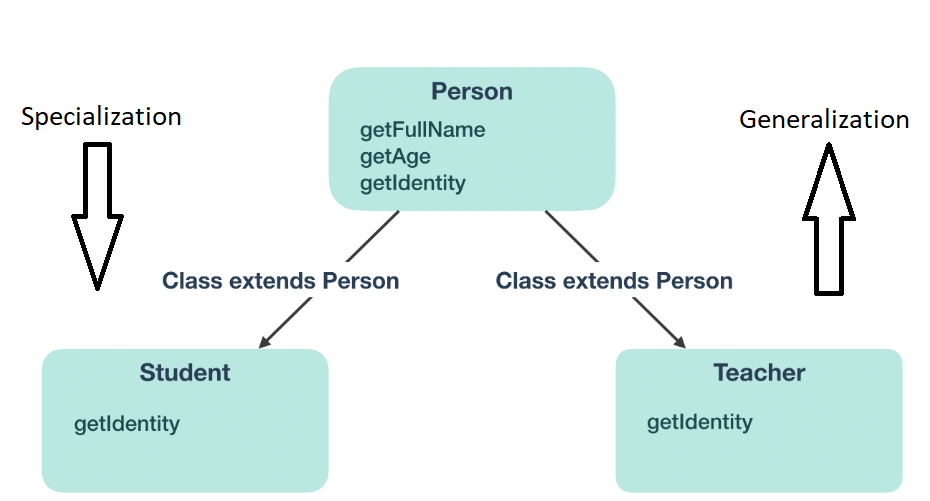 Exploring generalization, specialization, and dependency in OOP