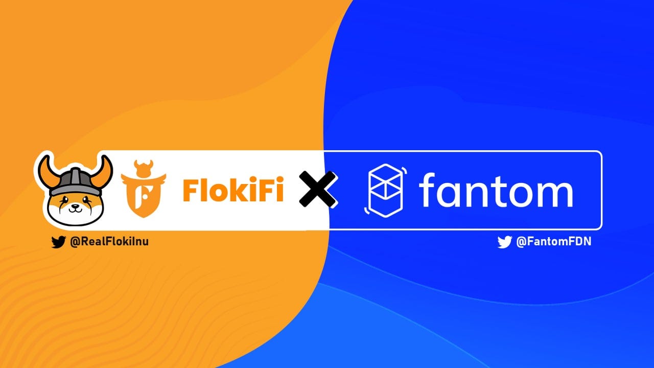FlokiFi Locker Aims to Become the Main Crypto Locker Protocol on Fantom  Mainnet | by FLOKI | Medium