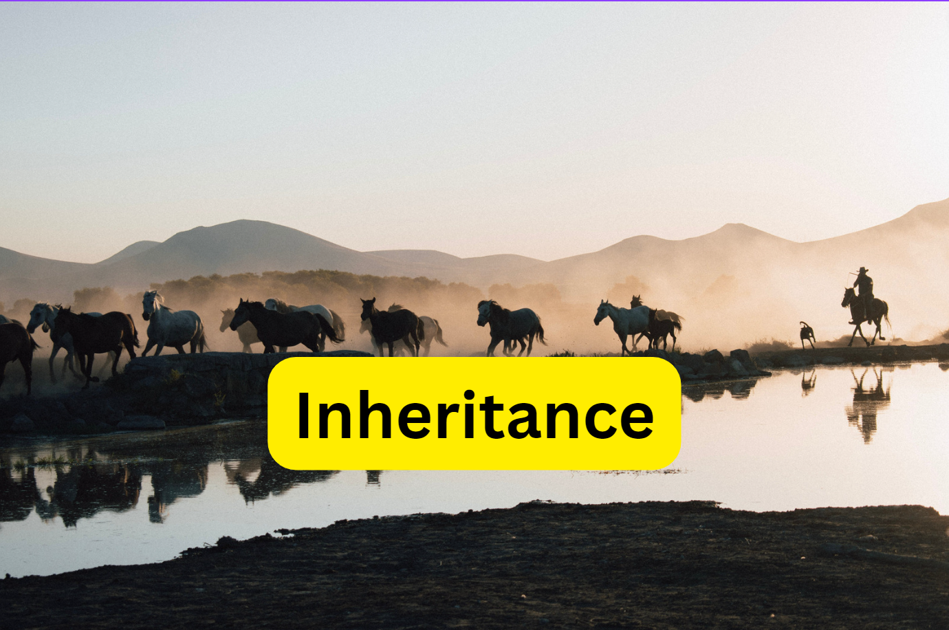 Why does C# doesn't support Multiple inheritance