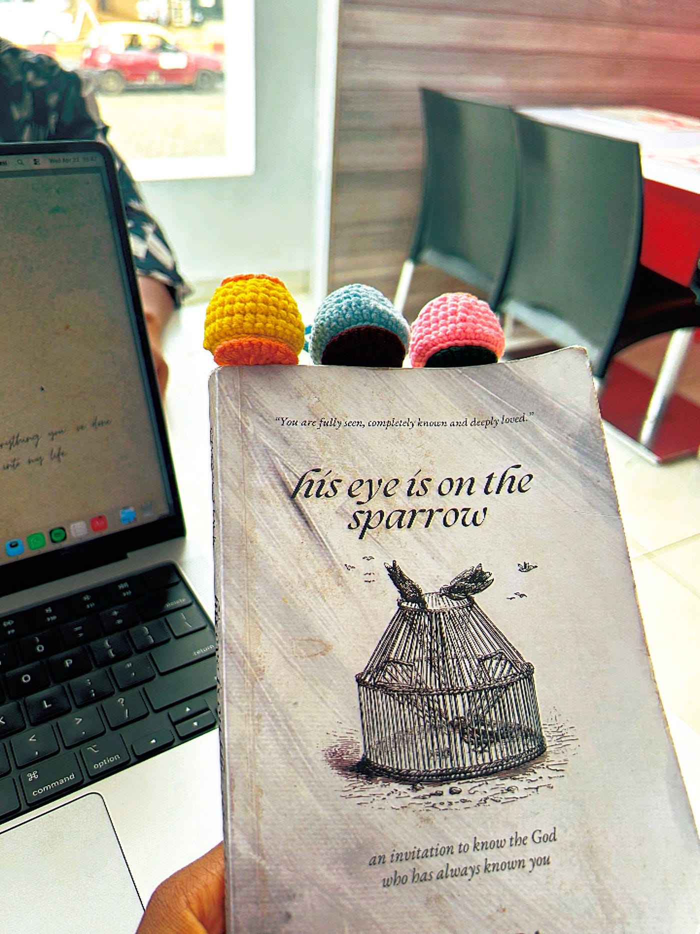 On reading Ezinne Zara’s His Eyes Is On The Sparrow