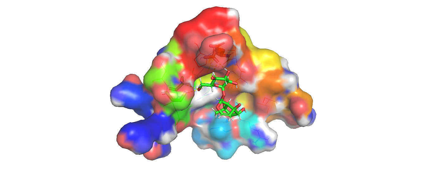 💻🔬 The Digital Arsenal of Drug Discovery: Docking, Scoring & Molecular Dynamics in Action