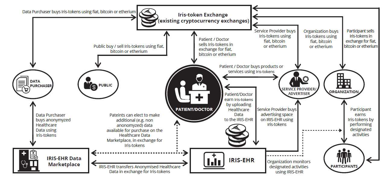 IRIS 블록체인 행사 후기 및 백서 리뷰(Review of the IRIS whitepaper & my thoughts) | by  Chris Ha | Medium
