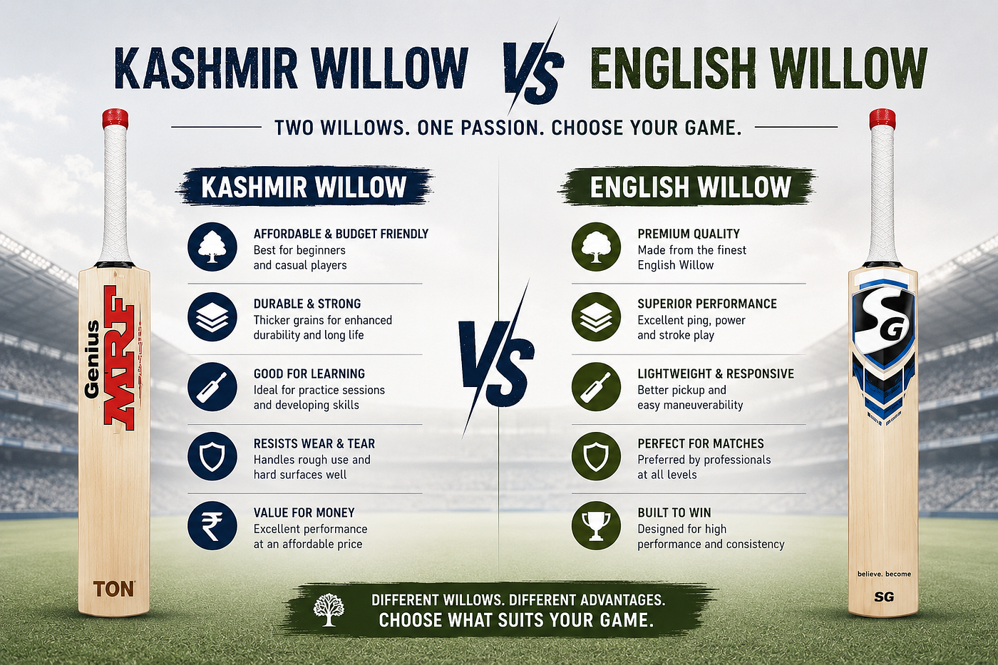 Bat Comparison: English Willow vs Kashmir Willow