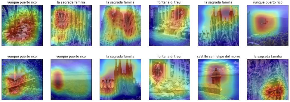 DenseNet-161 Convolutional Activation Map (CAM)
