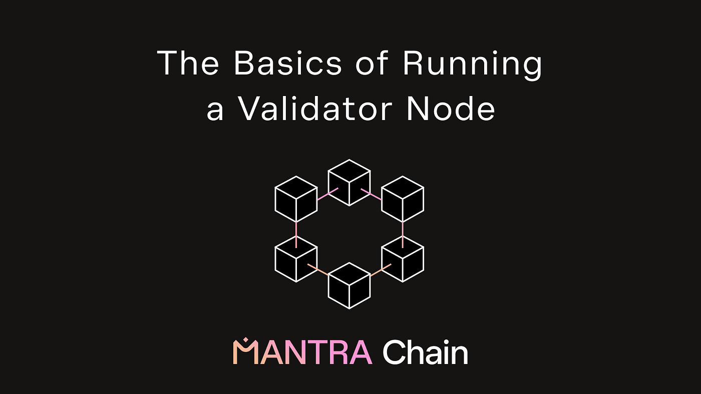 The basics of running a PoS validator node | by MANTRA | Medium