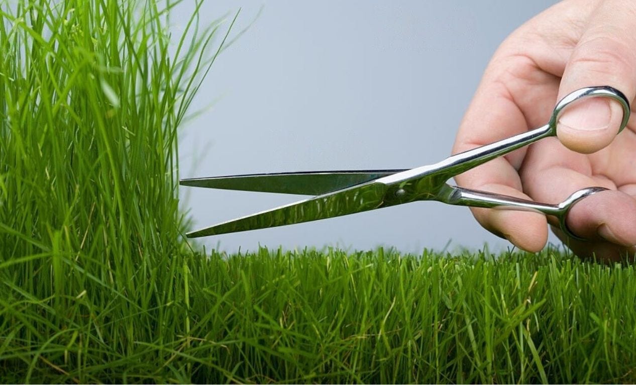 Grass-Cutting Hand Tools for a Perfectly Manicured Lawn | by David John |  Medium
