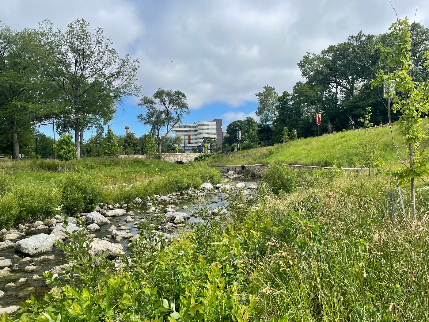 Doan Brook Streambank Stabilization Project.
