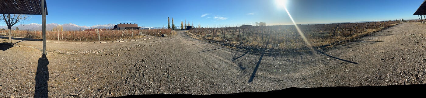 #11 — What I Learned in Argentina (Valle de Uco — Mendoza’s High-Altitude Wine Country)