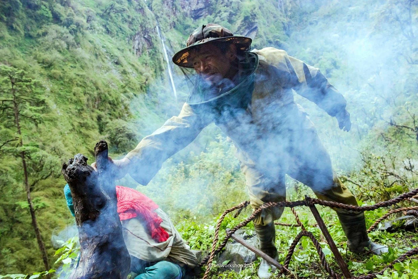 Why Mad Honey Cannot Be Farmed or Mass Produced