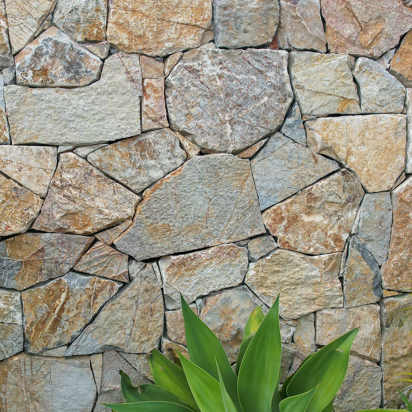 How Can a Natural Stone Supplier Help Your Project?