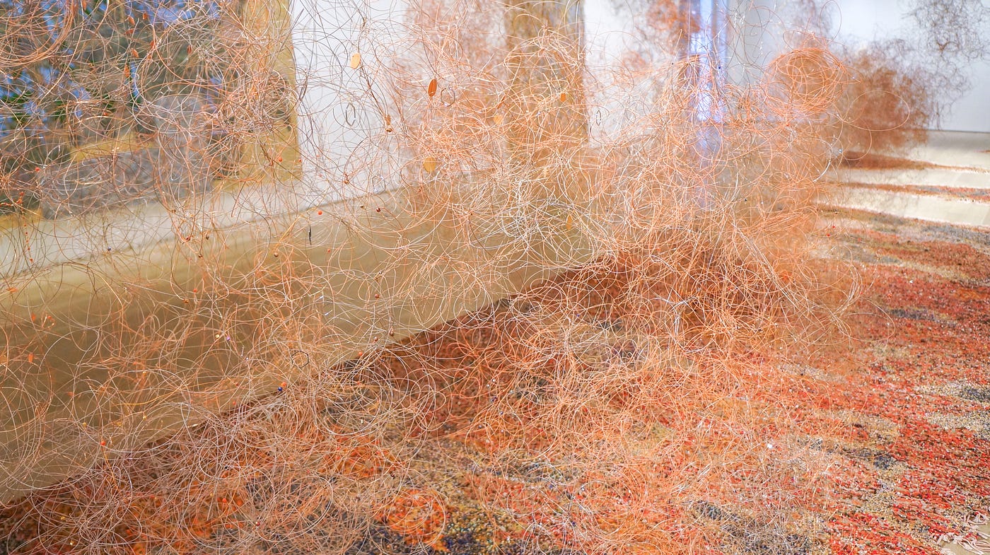 アート・デザイン・音楽 Embarrassment of Riches : Photographs Amazon.com: Embarrassment of Riches : Photographs