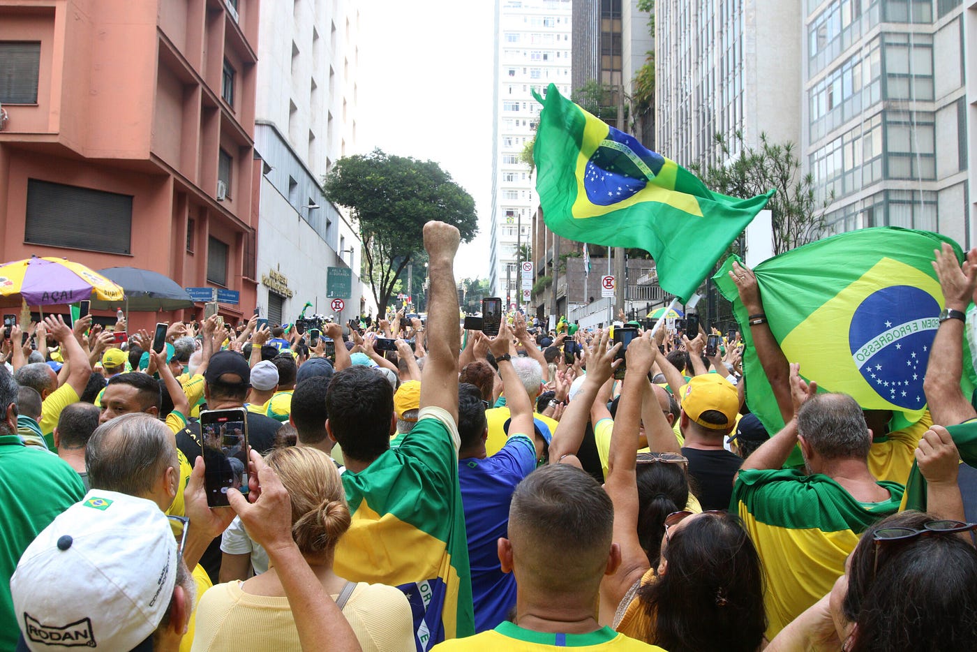 Manifestação de bolsonaristas na Avenida Paulista. (Rovena Rosa/Agência Brasil)