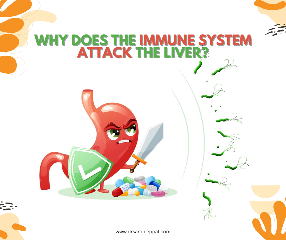 auto immune system attack the liver